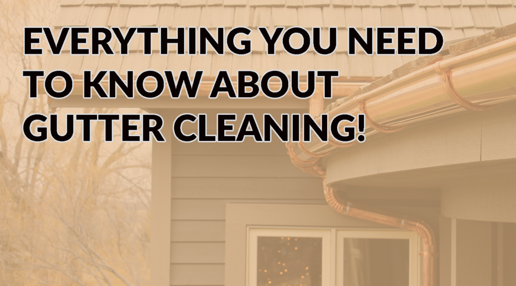 EVERYTHING YOU NEED TO KNOW ABOUT GUTTER CLEANING!