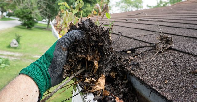 Gutter Cleaning: Big Savings for Burlington Homeowners