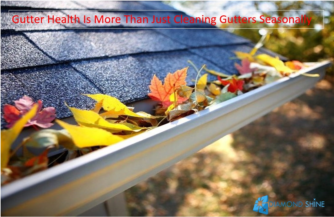 Gutter Health Is More Than Just Cleaning Gutters Seasonally