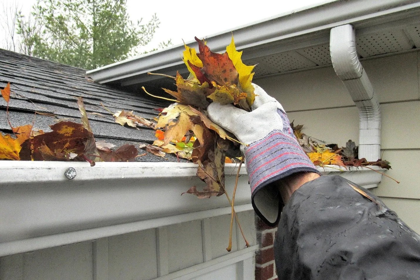 Protect Your Home Year-Round with Professional Gutter Cleaning in Burlington