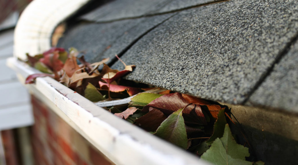 WHY SHOULDN’T YOU UNDERESTIMATE THE IMPORTANCE OF EAVESTROUGH CLEANING?