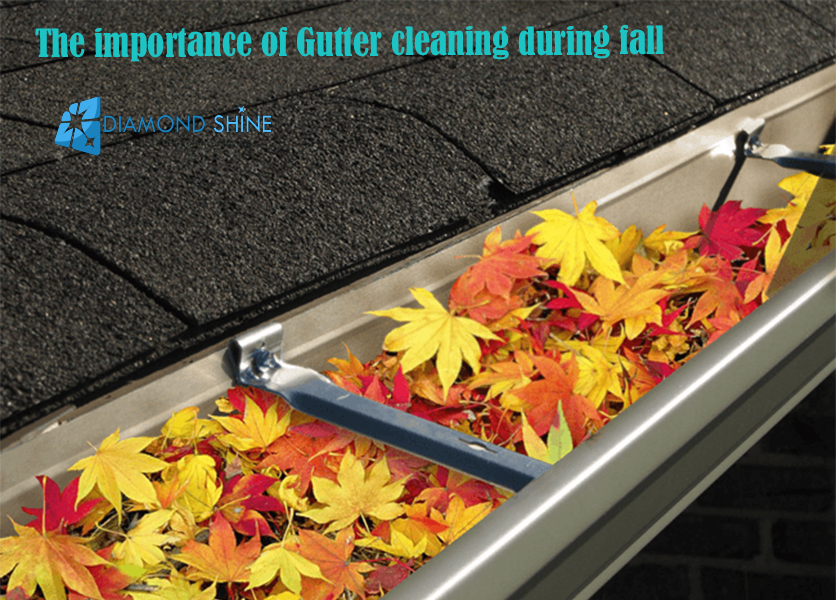 The importance of Gutter cleaning during fall