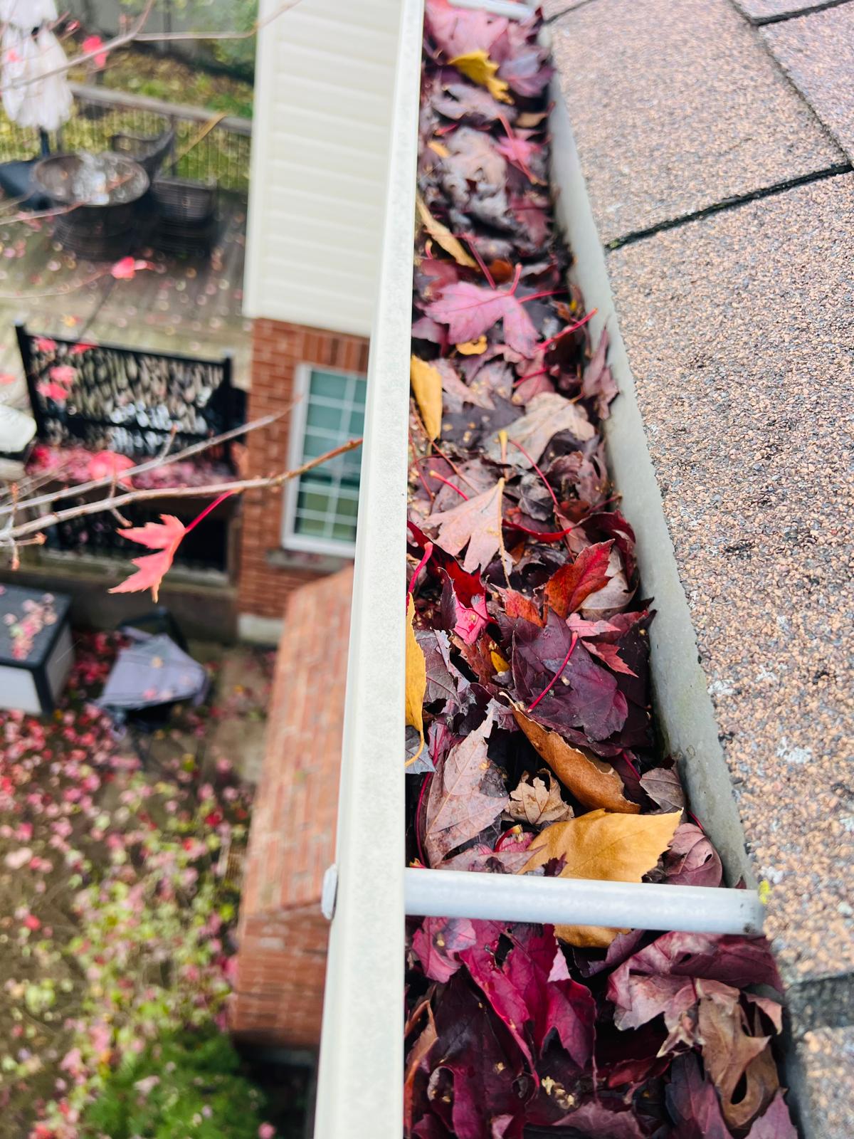 Before gutter cleaning