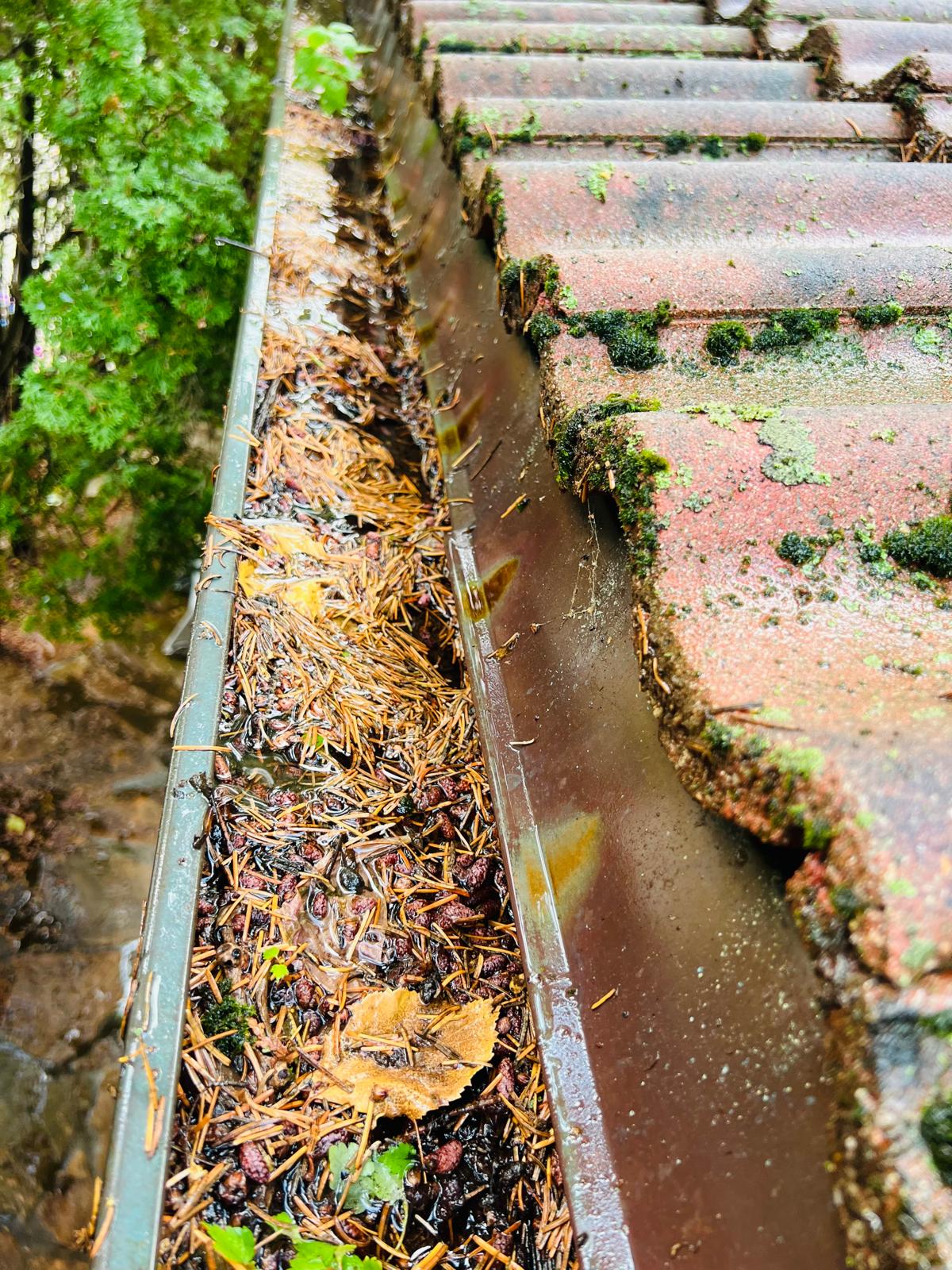 Clogged gutters before service