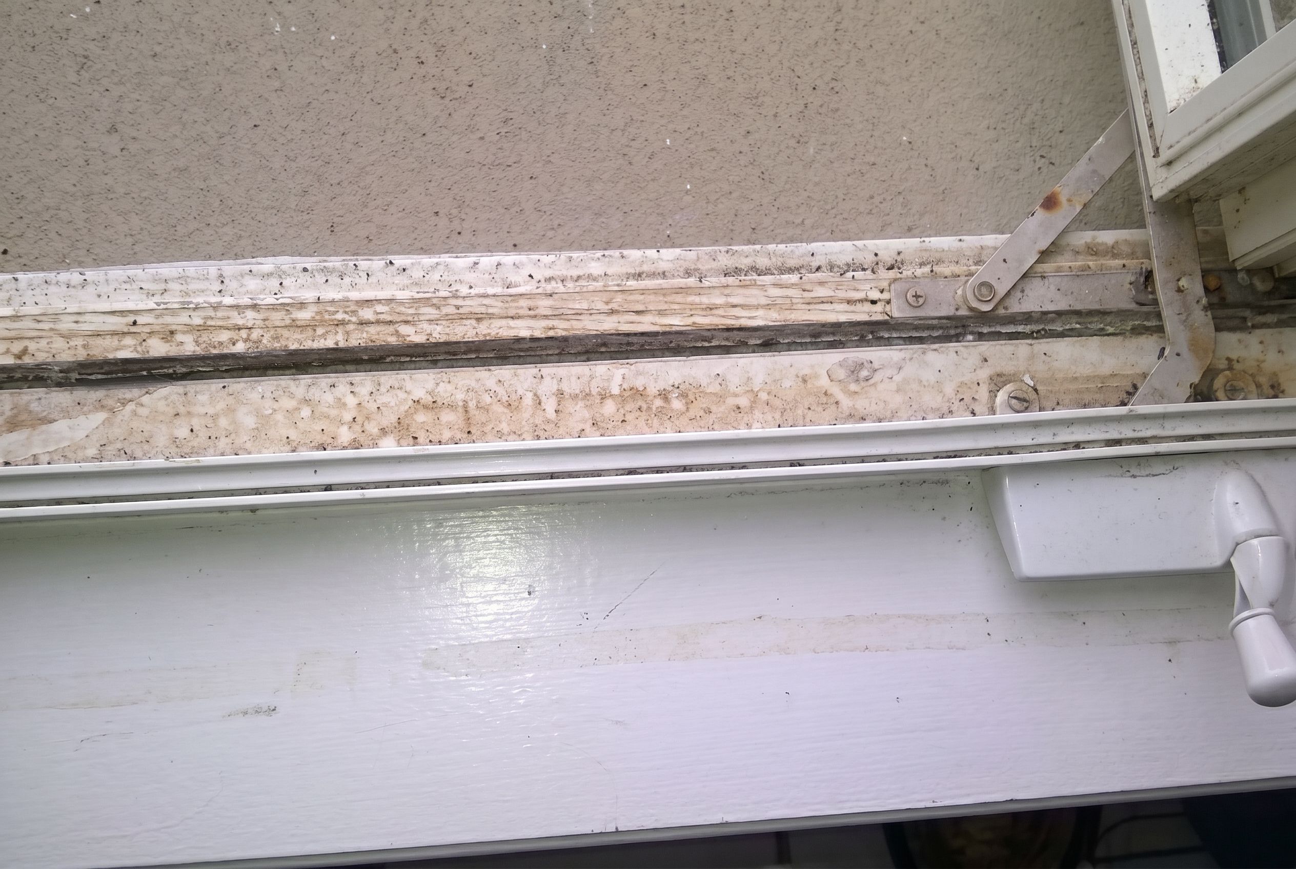 Professional window cleaning results