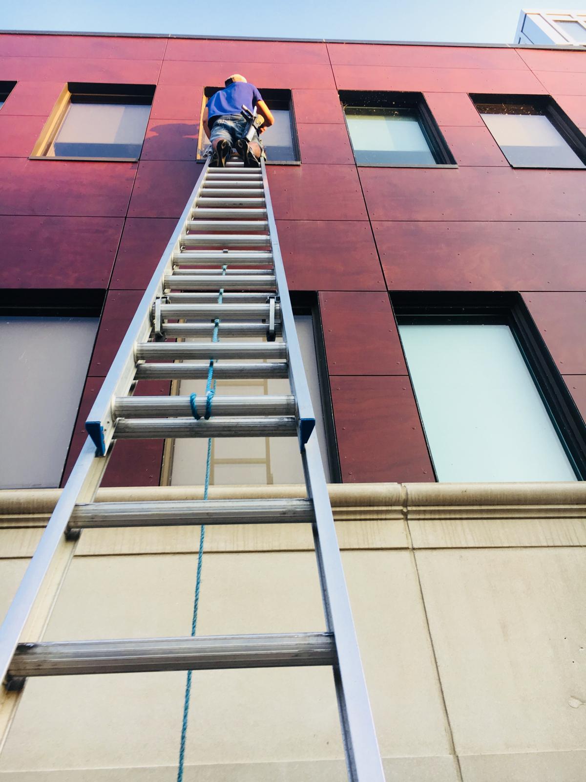 Professional window cleaning