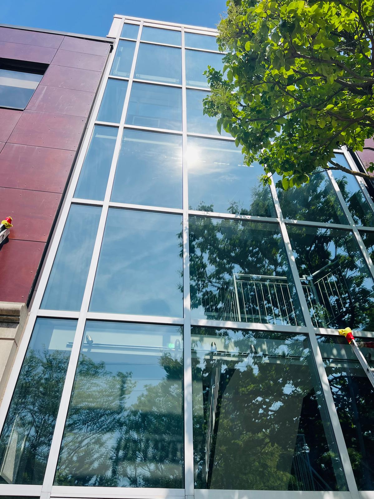 Spotless window cleaning results
