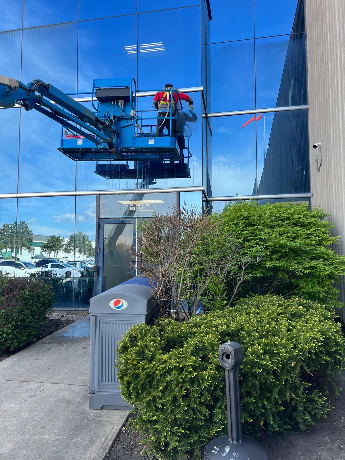 Diamond Shine at Pepsi headquarters, Mississauga
